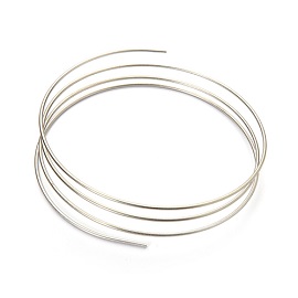 SS Tubing, 65cm OD1/16 Inch ID 0.005 Inch productfoto