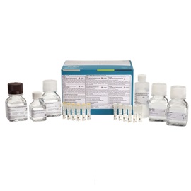 DNA 20 kb Plasmid and Linear kit productfoto